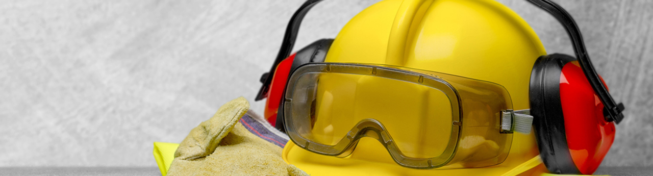 notter-bridge-training